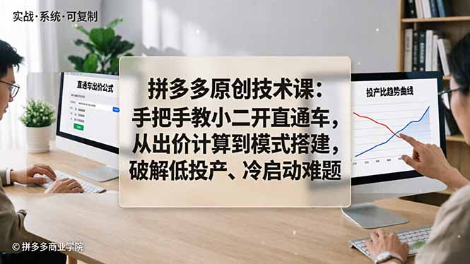 拼多多原创技术课：手把手教小二开直通车，从出价计算到模式搭建，破解低投产、冷启动难题