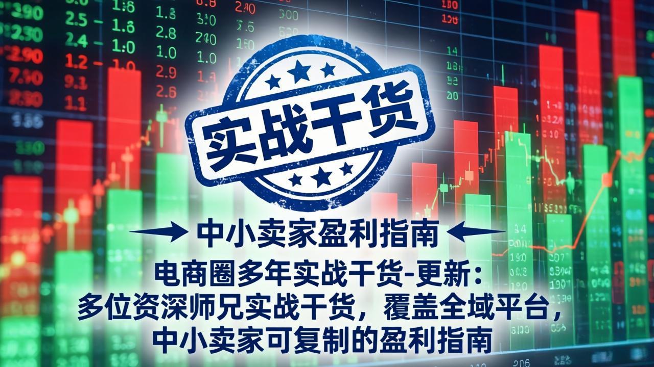 电商圈多年实战干货-更新2026:多位资深师兄实战干货/覆盖全域平台,中小卖家可复制的盈利指南