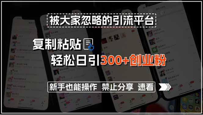 被大家忽略的引流平台，复制粘贴轻松日引300+创业粉，新手也能操作，禁…