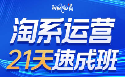 白凤电商·淘系运营21天速成班(更新9月)